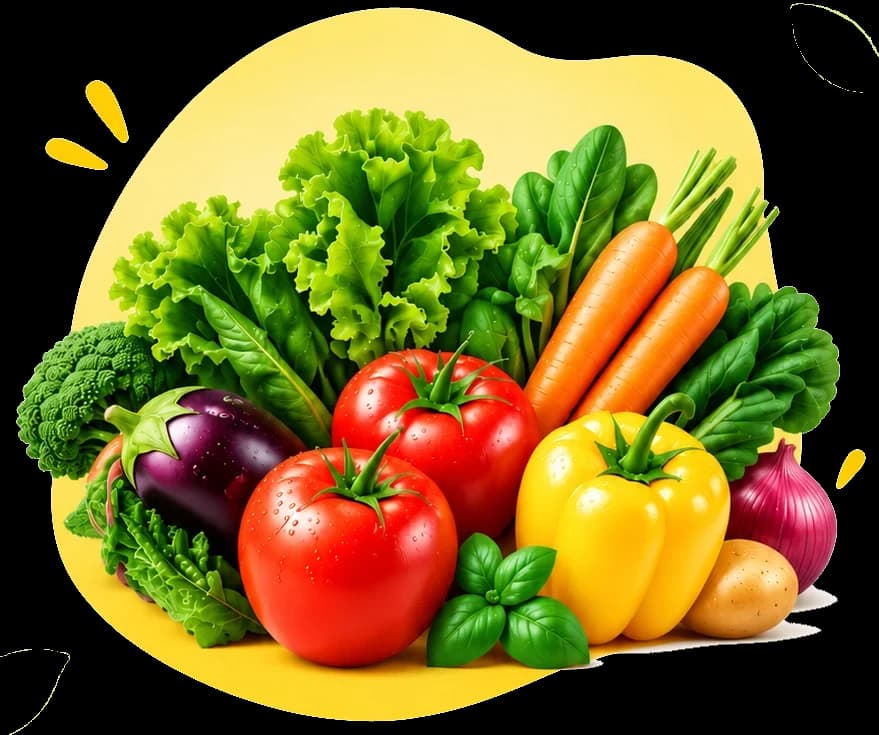 A colourful arrangement of fresh vegetables — tomatoes, carrots, lettuce, spinach, broccoli, aubergine, a yellow bell pepper, onion and potato.